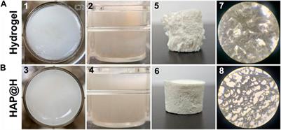 Preparation of hydroxyapatite nanofibers by using ionic liquids as template and application in enhancing hydrogel performance